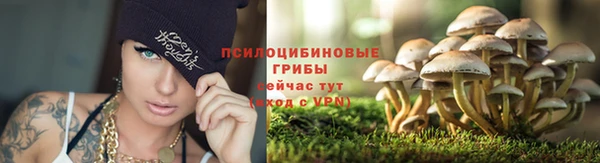 а пвп мука Кинешма