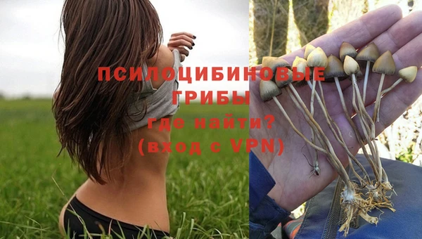 эйфоретик Киренск