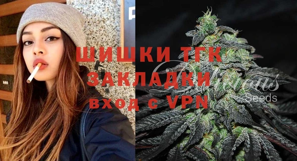 мдпв Козловка