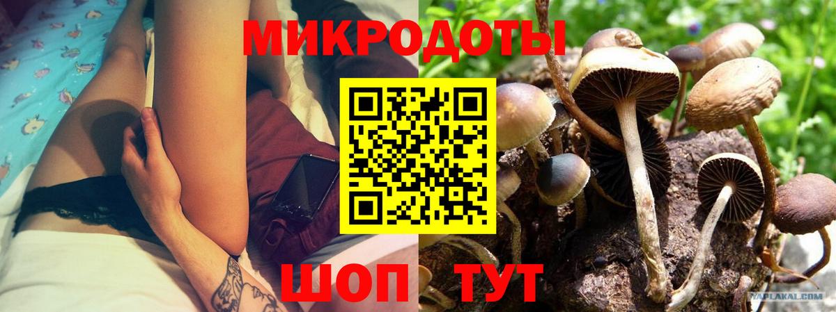Псилоцибиновые грибы Psilocybe  Вход с VPN  Кинель 