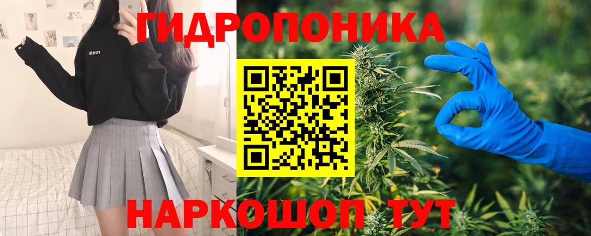 Бошки Шишки тримм  Вход с VPN  Шишки марихуана сатива  Каннабис MAZAR  Конопля семена  Кинель 